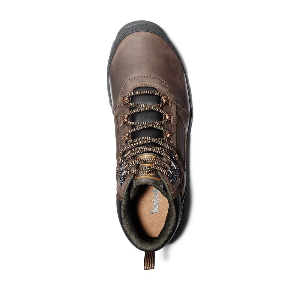 Botas de Montaña Timberland Hombre Mt. Major Mid Marrones Oscuro - Chile OEA-293186